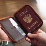 Designer Passport Cases